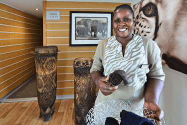 AmaWaterways Zambezi Queen Service.png